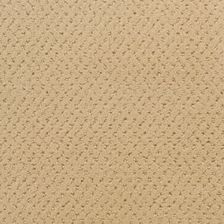 Fabrica Carpets Power Point Spiced Curry Fabrica