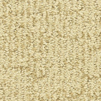 Dixie Home Victor Premier