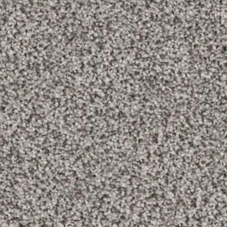 Revolution Mills Rainier Rainforest