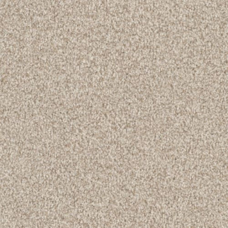 Masland Carpets Santa Rosa Reef Masland