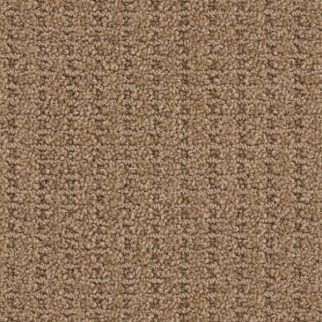 Masland Carpets Defined Rich Maple Masland