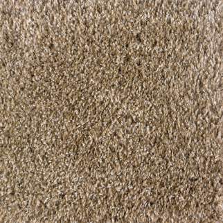 Stanton Carpet Shaggy Plush Sand Stanton