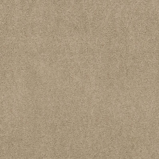 DesignTek Carpet Dalton 30 12' Sand Dollar DESIGNTEK