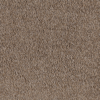 Milliken Carpets Crown Suite Satin Weave