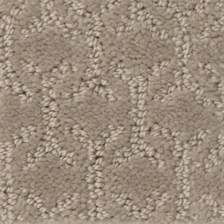 Shaw Floors Valid Shadow SHAW