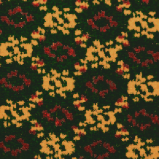 DesignTek Hospitality Carlton Shamrock DESIGNTEK