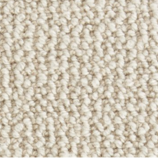 Stanton Carpet Shawnee Shell Stanton