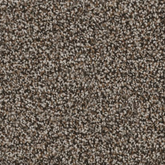 Revolution Mills Naples Sierra