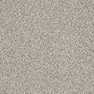 Shaw Floors Elemental Mix III Silver lining SHAW