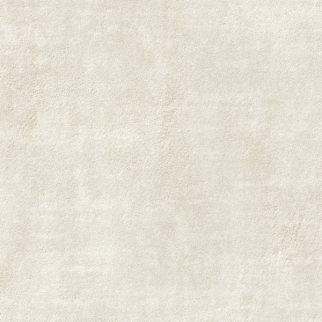 Kane Carpet Perfection Specialty KANE