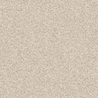 Masland Carpets Santa Rosa Starfish Masland