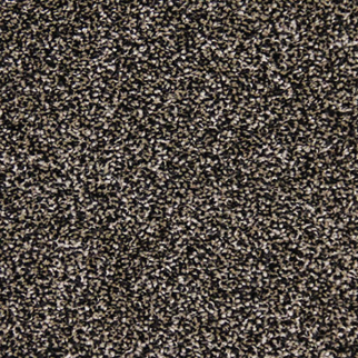 Southwind Light Show Stargazer