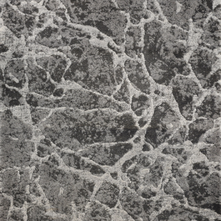 Kane Carpet Latest Stone KANE