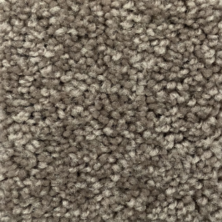 Mohawk Carpet Weston Manor Treasure Chest Mohawk