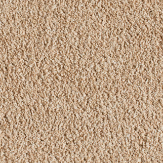 Milliken Carpets Crown Suite Premier Warm Palette